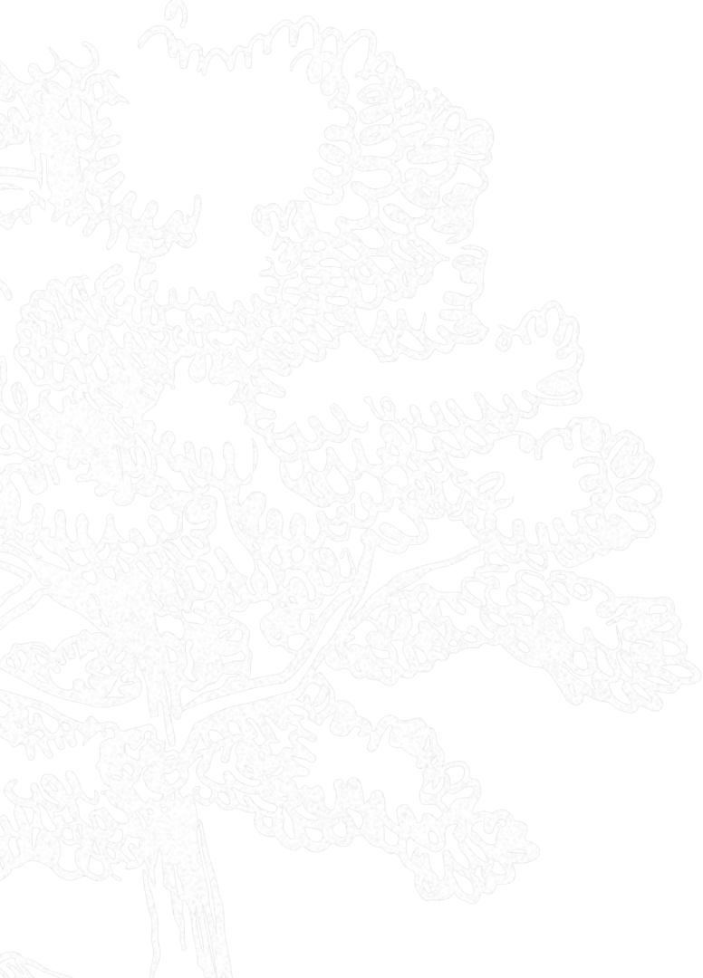 Background decoration